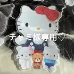 チャミ様専用♡