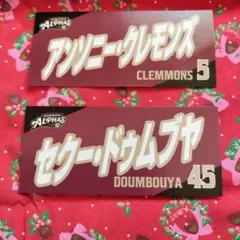 越谷アルファーズ　セクー#45 クレモンズ#5　タオル型ステッカー＆ネギ巾着
