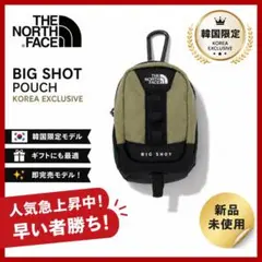 韓国限定 THE NORTH FACE BIG SHOT ポーチ カラビナ付き