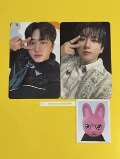 Stray Kids チャンビン TOYWORLD 封入 トレカ・IDフォト