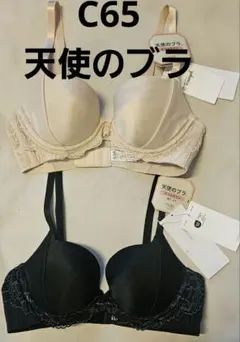 252160 トリンプ　天使のブラ　スリムライン　ブラジャー　2枚セット　c65