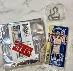 Item thumbnail for item 0da9c436-c30d-460f-963d-6a9ea26f6354