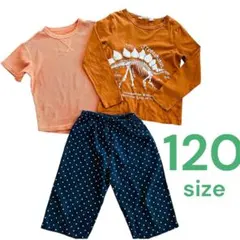 120サイズ　ステゴサウルスデザイン トップスセット　H&M