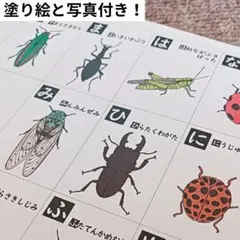 三佳様 リクエスト 2点 まとめ商品