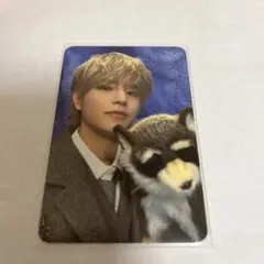 stray kids スキズ　チャンビン　ペンミ　トレカ