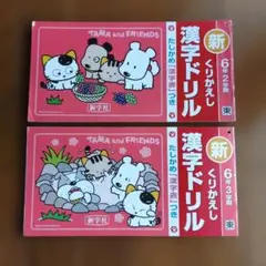 新学社 漢字ドリル 6年 2学期 3学期 TAMA and FRIENDSのサムネイル