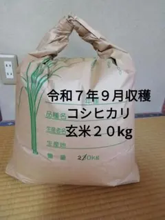 令和7年滋賀県産コシヒカリ 白米20キロ - メルカリ