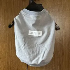 Item thumbnail for item 5b2819ae-0f89-4a49-bc22-521ddecced75