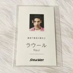 SnowMan Dangerholic デンホリ 特典 名刺カード ラウール