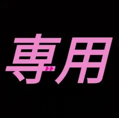 クロネコヤマト便　あーる様 リクエスト 2点 まとめ商品