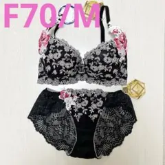 2026年最新】サルート f70の人気アイテム - メルカリ