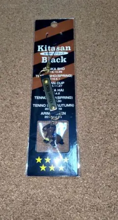 Item thumbnail for item 1632347c-7d02-4ff6-b87f-2c53c6da81ed