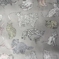 Chikuchiku & Amiami様 リクエスト 3点 まとめ商品