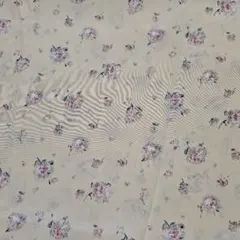 Item thumbnail for item 280609d8-4689-45bf-afa5-0ce531564aba