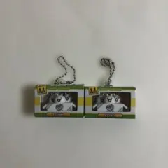 チョコボックス　にゃんこ大戦争　パッケージ風のボックス入りのサムネイル