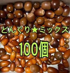 どんぐり★ミックス100個