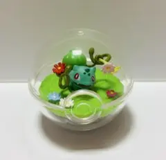 ポケモン テラリウムコレクション フシギダネ