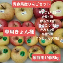 専用きょん様　青森県産リンゴセット 19個 5kg