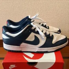 Nike Dunk Low Retro 10 VALERIAN BLUE