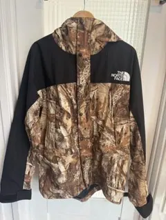 THE NORTH FACE MOUNTAIN LIGHT JACKET