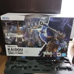 ぷ*郎様 S.H.Figuarts 百獣のカイドウ　人獣型のサムネイル