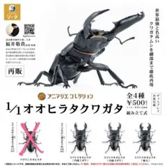 Item thumbnail for item b005a4b7-f152-4ebc-9b43-81436910e132