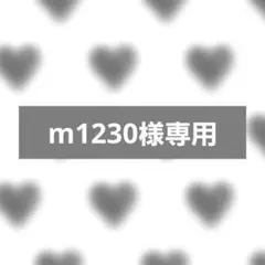 m1230様専用