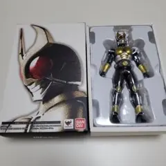真骨彫　仮面ライダーアギトのサムネイル