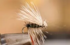 ムギ　ホップ様 リクエスト 2点 まとめ商品