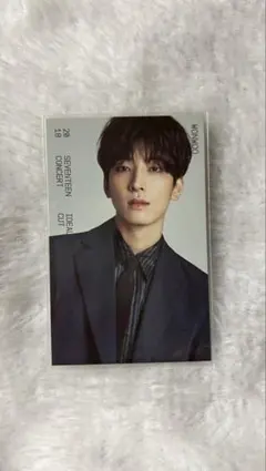 SEVENTEEN ウォヌ トレカ IDEAL CUT 19