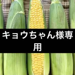【キョウちゃん様専用】北海道産とうもろこし（ゴールドラッシュ）Lサイズ以上10本