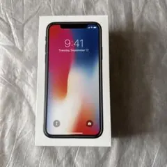 Apple iPhone X シルバー 箱のみ