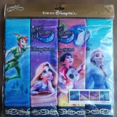 東京ディズニーリゾート ファンタジースプリングス タオルセット