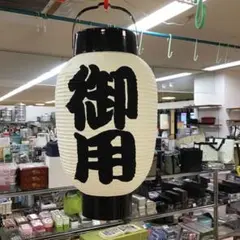 Item thumbnail for item 1a038ac5-4f24-4c8a-b5b2-ebb08483b59f