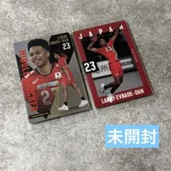 男子バレー日本代表 ツインウエハース エバデダンラリー 2枚セット