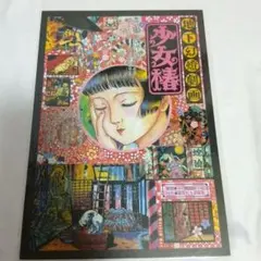 新品同様 地下幻燈劇画 少女椿 中野武蔵野ホール B5サイズ フライヤーのサムネイル