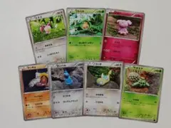 森井ユカ・ポケモンカード・XY・EBB