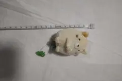 すみっコぐらし ねこ