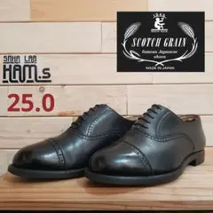 Item thumbnail for item 97768c7b-7e2d-4ef4-88b6-de68d5583533