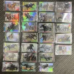 ザロイヤルファミリー 馬券ケース SHIPS ロイヤルホープ 限定品 グッズ
