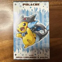 メガリザードンYポンチョを着たピカチュウ パスケース ポケモン