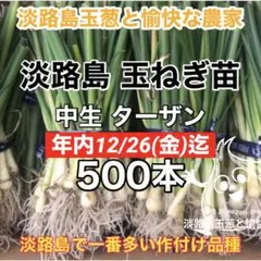 2025年最新】たまねぎ苗の人気アイテム - メルカリ