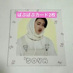 Myojo 2026年5月号 ばぶばぶカード 厚紙 猪狩蒼弥