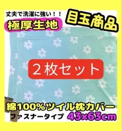 Item thumbnail for item 7d9a0e62-9e0f-4afc-a2d2-da490928a7ff