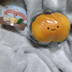 未使用匿名配送 お野菜のぬいぐるみ4 にっこりーノ クオリア かぼちゃ ハーフ