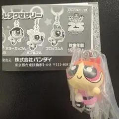 ブロッサムA パワーパフガールズ めじるしアクセサリー 第一弾
