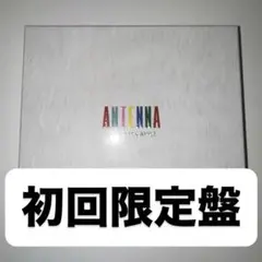 Mrs. GREEN APPLE ANTENNA 初回限定盤 CD・DVD