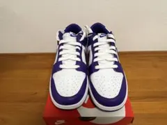 NIKE DUNK LOW RETRO DD1391 104