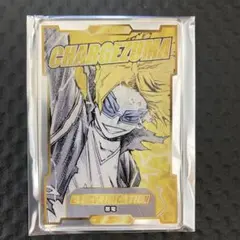 上鳴電気 アクリルカード