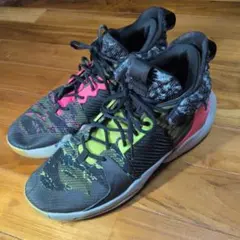 Jordan Why Not Zer0.2 バスケットボールシューズ　30cmのサムネイル